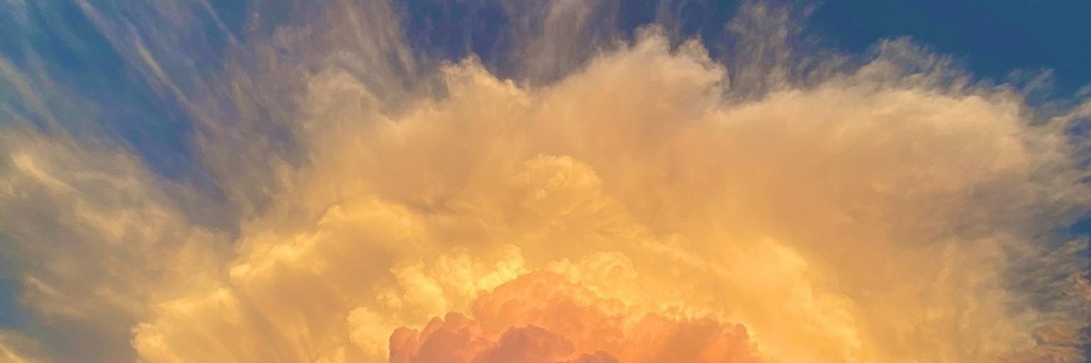 floweer26_'s profile banner image