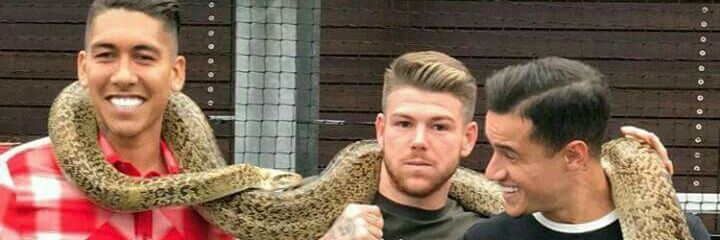 MMaccadam's profile banner image
