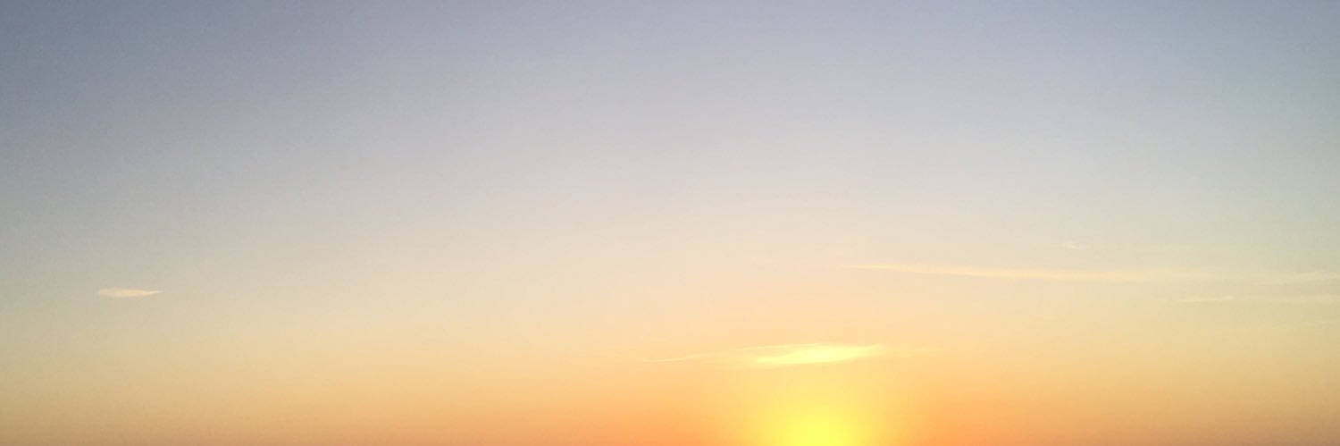 sofiiisme's profile banner image
