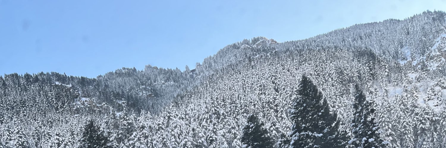 potatocattt's profile banner image