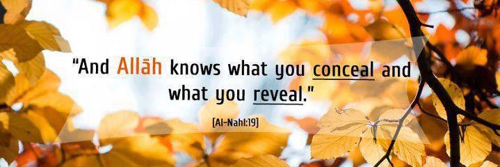 AR_Waheed's profile banner image