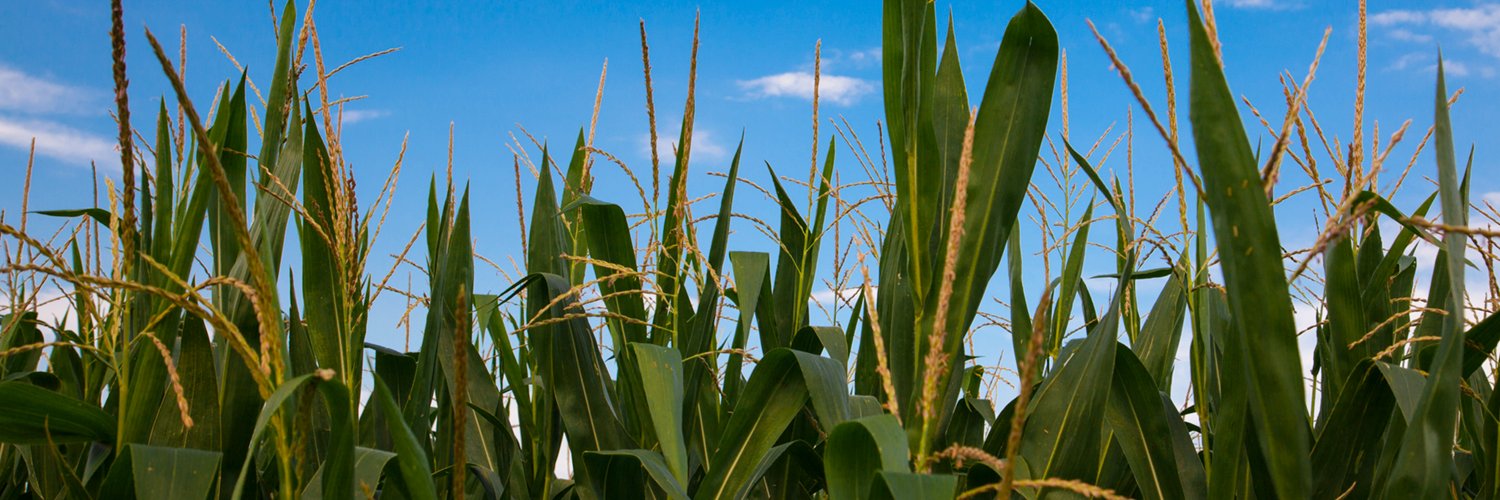 CassMorganFarmBureau banner