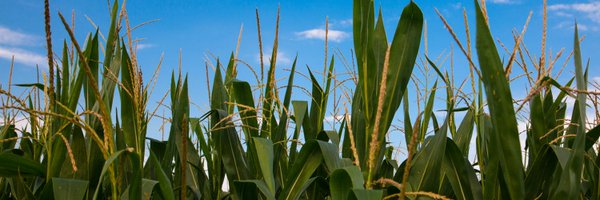 CMFB1 Profile Banner