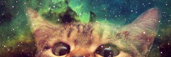 physenvy Profile Banner