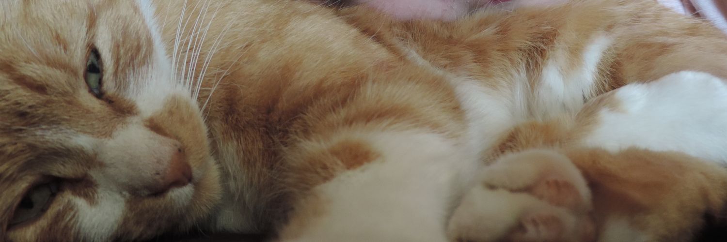 xxuagram's profile banner image