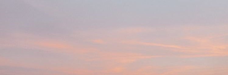 cecigr_'s profile banner image