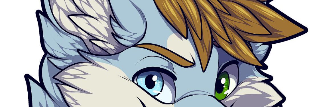 Martindawolf's profile banner image