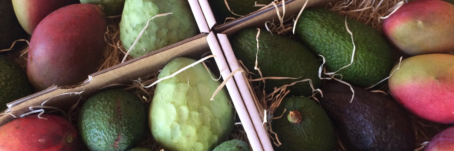 huertatropical's profile banner image