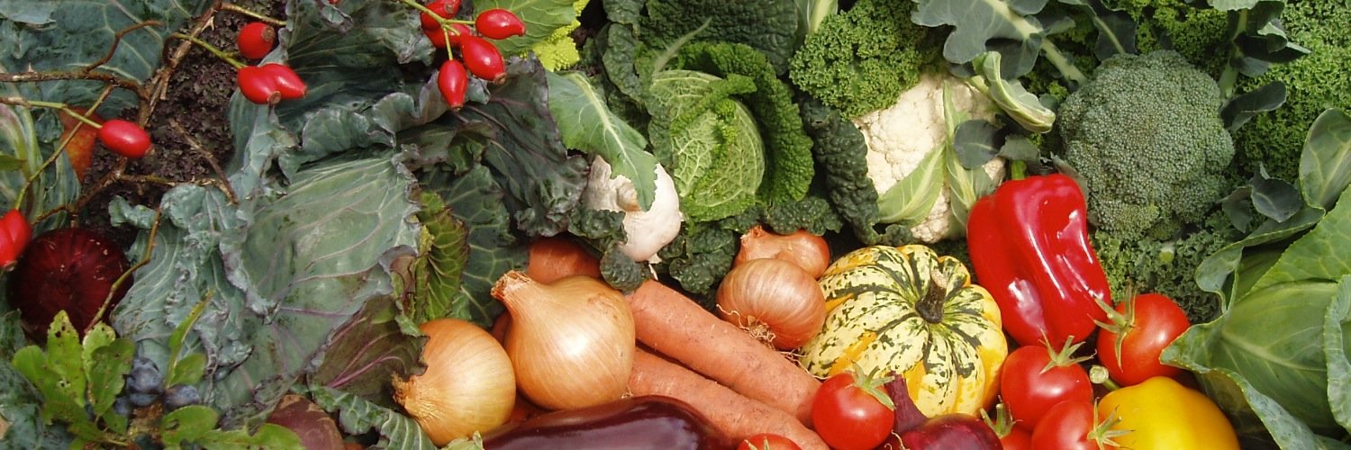 LinscombeFarm's profile banner image