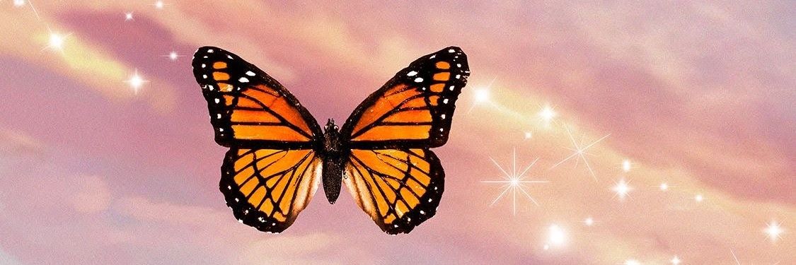 peprxh's profile banner image