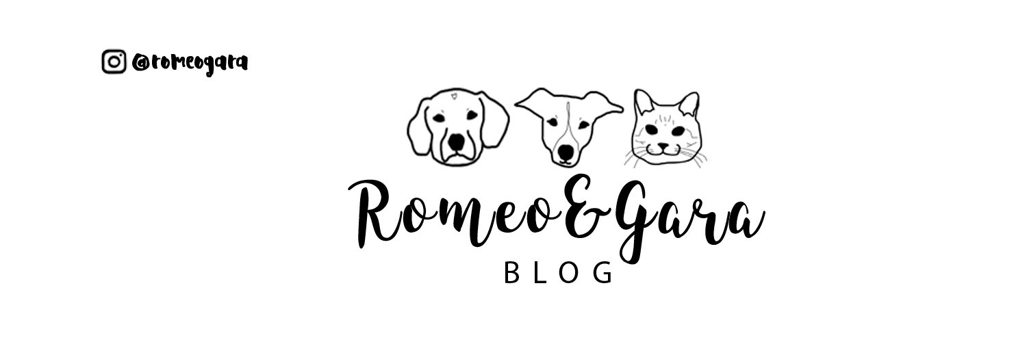 romeogara's profile banner image