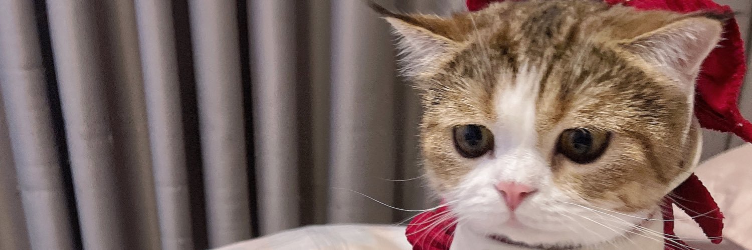 icemiie's profile banner image