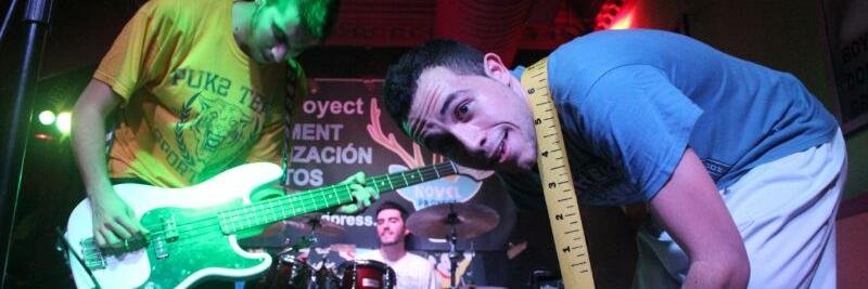 BeesForMonkeys's profile banner image