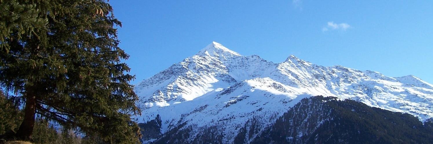 giacomoucds's profile banner image