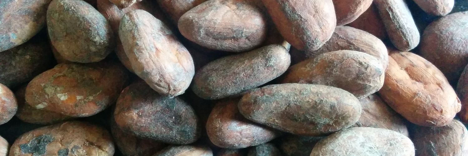rootchocolate's profile banner image