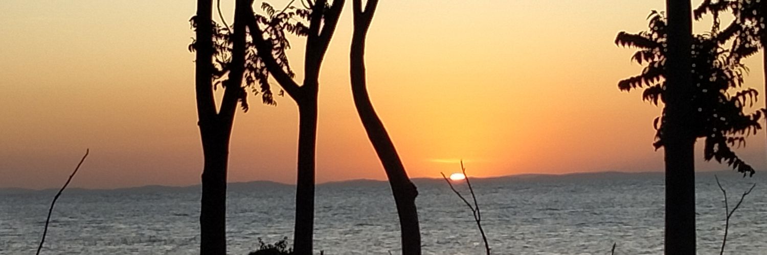 lyagunga1's profile banner image
