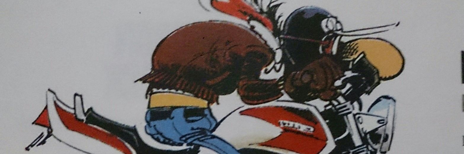 xavigazz's profile banner image