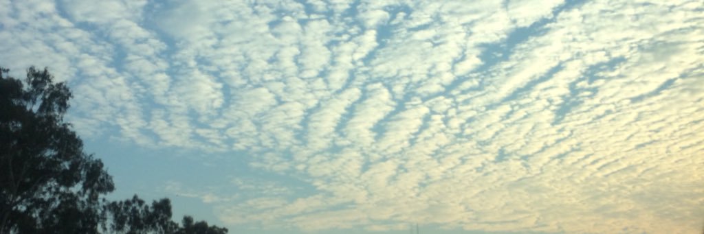 miaperez143's profile banner image