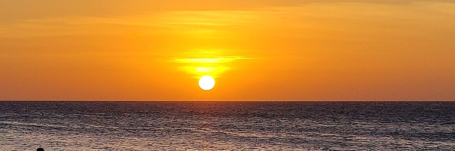 _dora_21's profile banner image