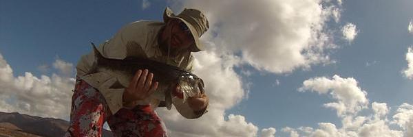 BCBaits's profile banner image