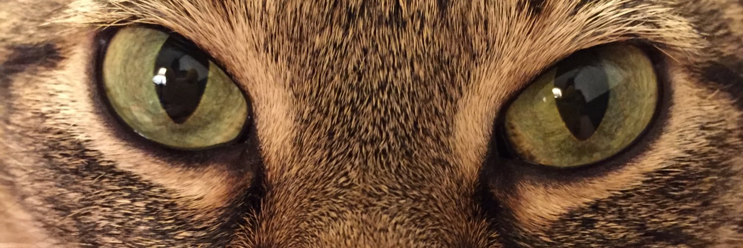 almostfearless1's profile banner image