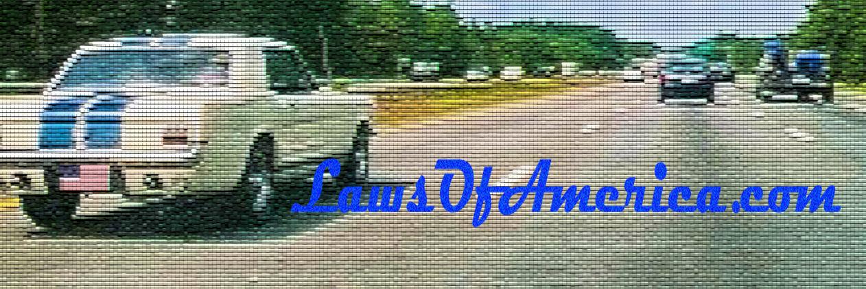 LawsOfAmericaWF's profile banner image