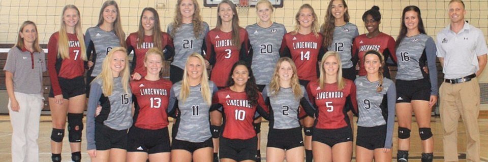 Lynxwvb's profile banner image