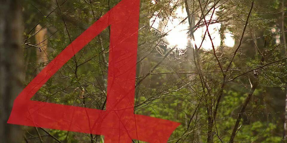 DavidLFay's profile banner image