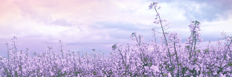 Naomibkh's profile banner image