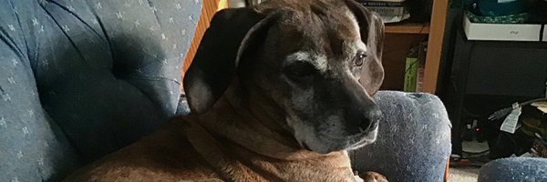 Tham22 Profile Banner