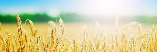tabarecom74's profile banner image