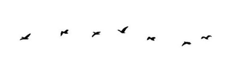 SH74ii's profile banner image