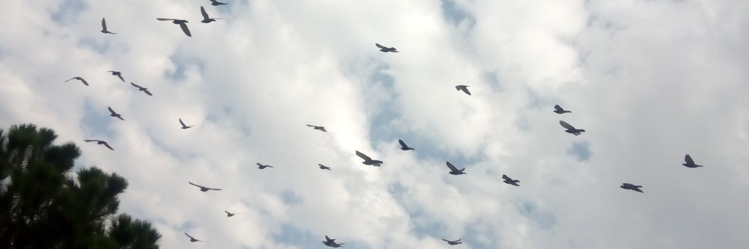 ftmyyldrm's profile banner image