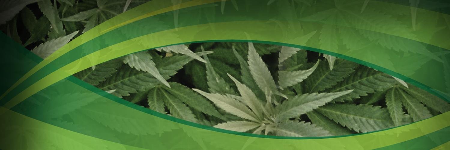 MedicinalMJDoc's profile banner image