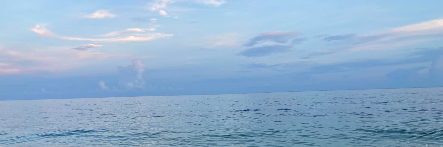 loritowles's profile banner image