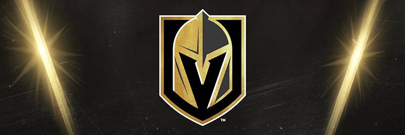 vgk_ray's profile banner image