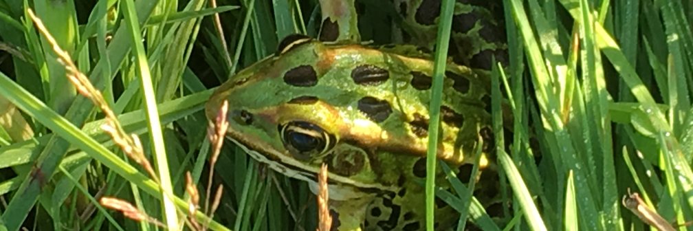AttnNatureWatch's profile banner image