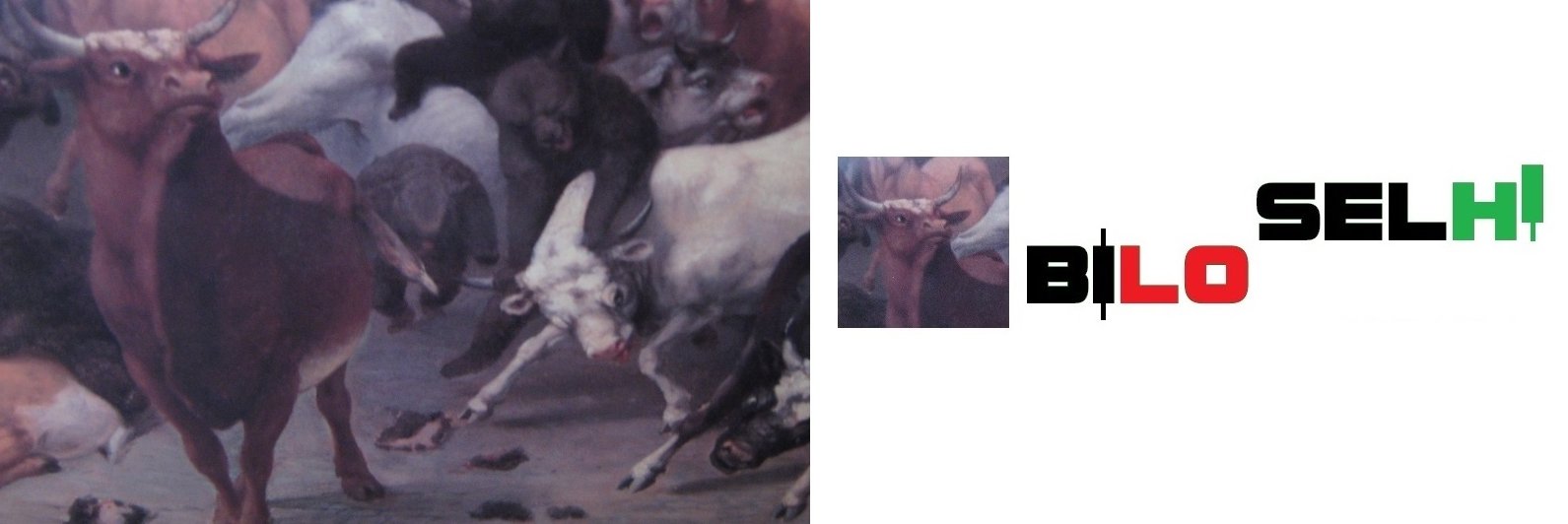 StocksThatDoubl's profile banner image