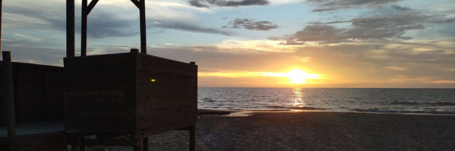 Catarsixforeva's profile banner image