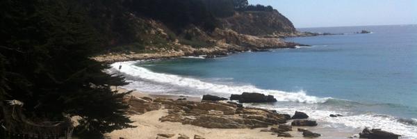 linofidalgo1 Profile Banner