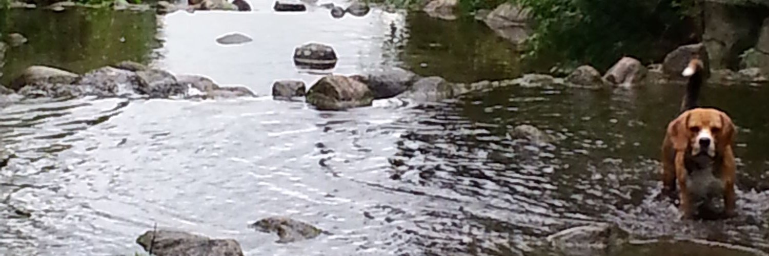 DMGalander's profile banner image