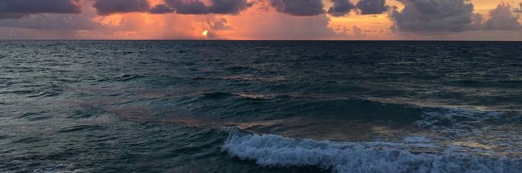 alsarraf_96's profile banner image