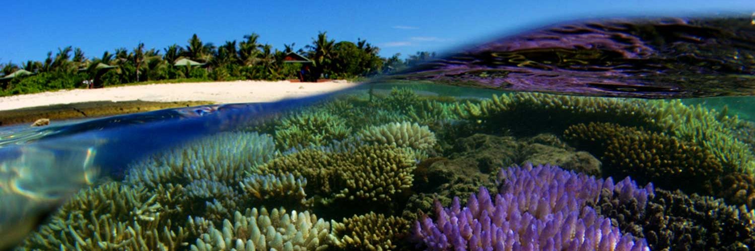 Cali Grand Dad banner