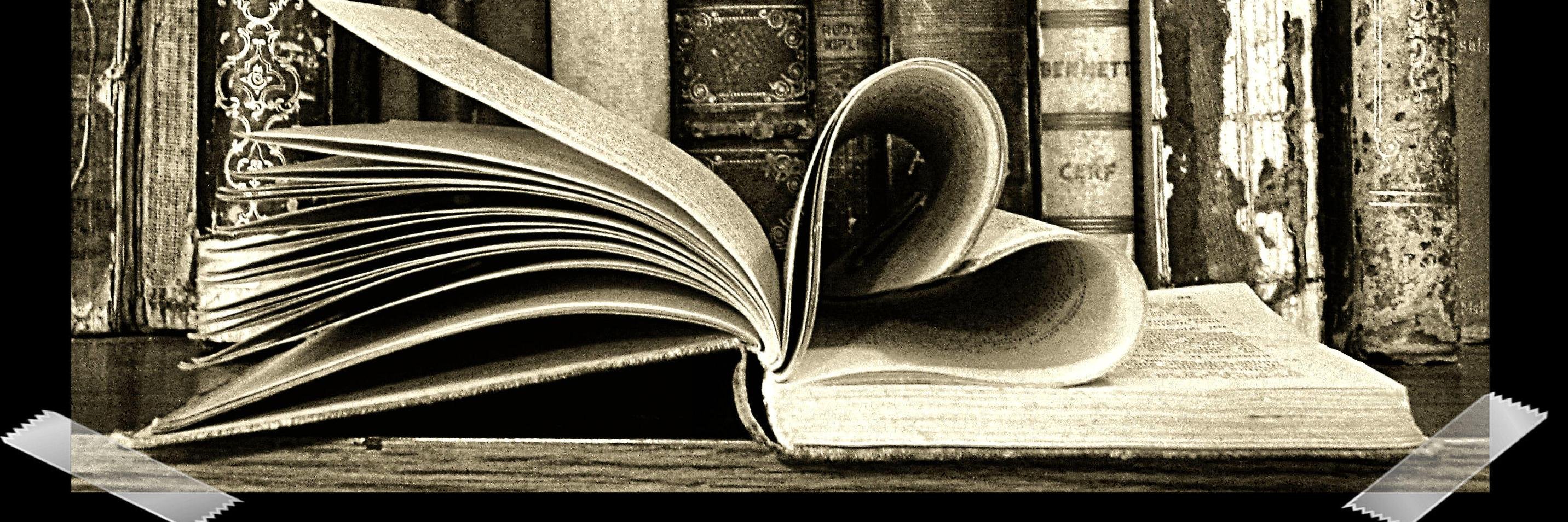 afbookmark's profile banner image