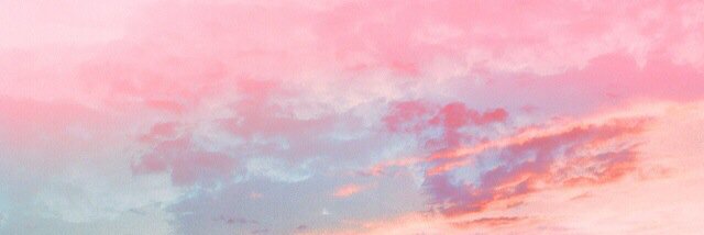 tsai_rina's profile banner image