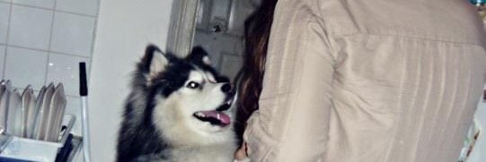 Emina banner