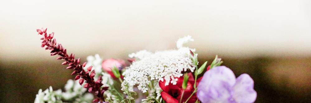 good_florist's profile banner image