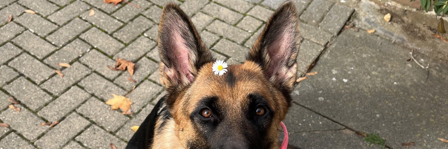 maxine 🏎️🩷 banner