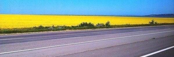neUkrop's profile banner image