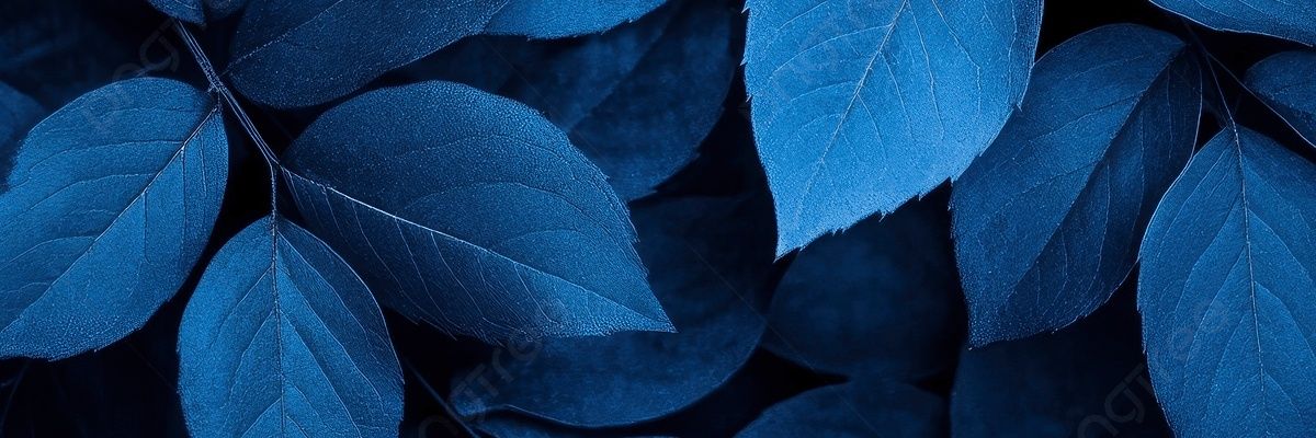 L.M💙 banner